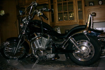VS 1400 Intruder im Winterschlaf - 1997
