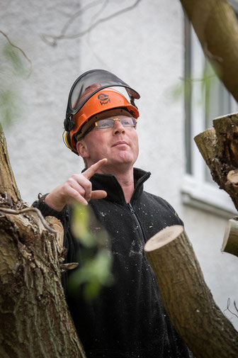 Hausmeisterservice Wüstefeld (Northeim-Moringen): Jens Wüstefeld