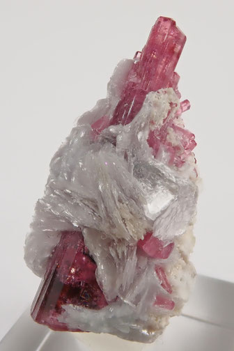 Malkhan rubellite