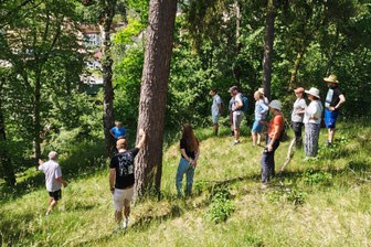 Foto: LBV Ortsteam Alfeld
