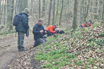 Mehrere Personen der Naturfotogruppe im Wald