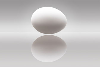 Forme de l’œuf vu en coupe (Pixabay)