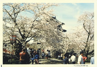 弘前城桜祭り