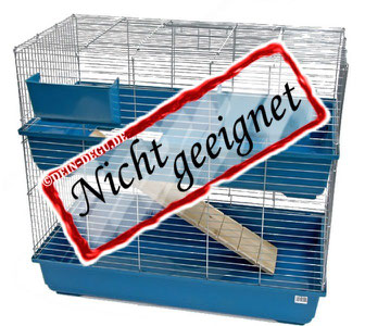 Nicht geeigneter Degu Käfig