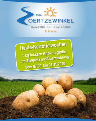 1 kg Heidekartoffeln gratis pro Nacht und Stellplatz vom 23. August bis 30. Oktober