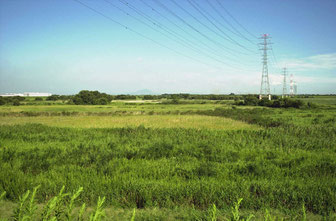 平常時の調節池を撮った画像