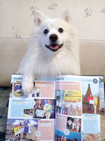 Japanese Spitz Simba, національний рекорд України, володарі, 2021, Україна, японський шпіц Сімба, Юлія Стріжкіна, Найдовша їстівна лакомина для собак