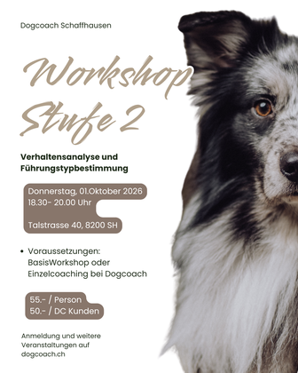 Hundeschule, Coaching, Hundeworkshop