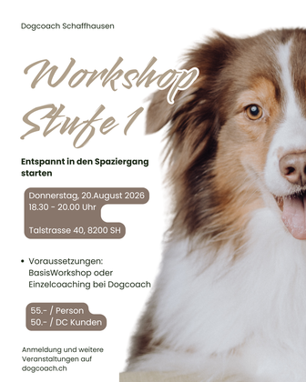 Hundeschule, Coaching, Hundeworkshop