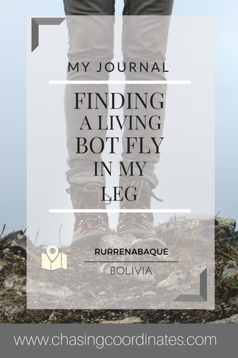 bot fly blog