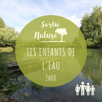 Sortie nature en famille Bréhémont Touraine Val de Loire