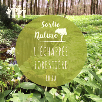 Sortie nature en famille Touraine Val de Loire