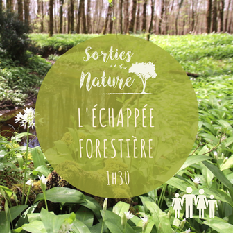 sortie famille nature Touraine