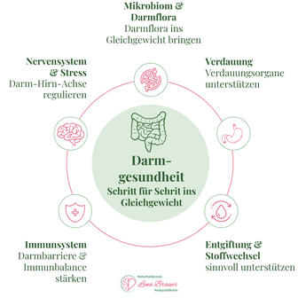 Zusammenspiel von Darm, Magen, Nervensystem, Leber und Bauchspeicheldrüse bei der Verdauung