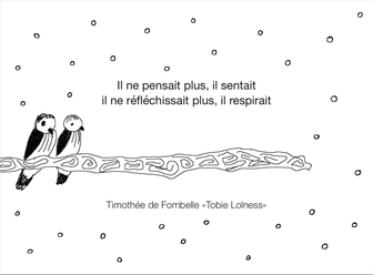 timothée de fombelle