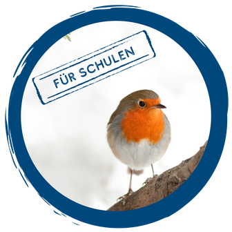 Schulstunde der Wintervögel