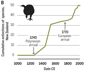 Aussterben Vögel Neuseeland