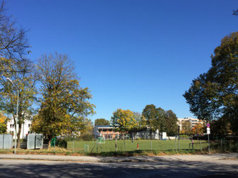 Spielwiese am Ahornring: Hier soll bald die neue Grundschule stehen - Foto: SPD