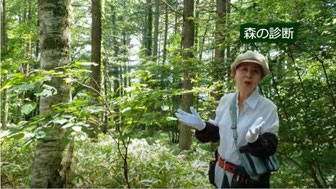 森の診断