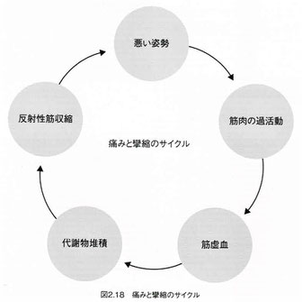 痛みと攣縮のサイクル