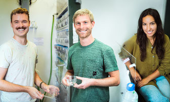 Phil Oel, Tobias Gerber, and Victoria Witte, members of the Arendt group at EMBL Heidelberg are studying how Platynereis dumerilii adapts to different environments, investigating possible mechanisms of evolution. Credit: Kinga Lubowiecka/EMBL