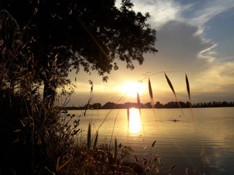 Am Bootshaus in Entressen in der Provence