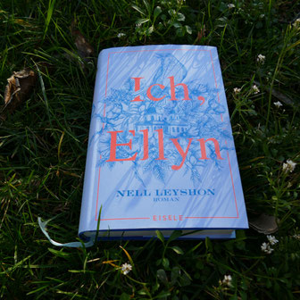 Nell Leyshon "Ich, Ellyn"