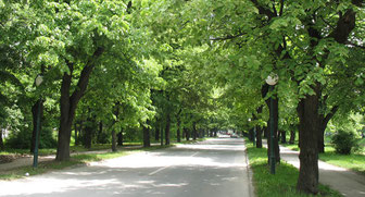 Vilsonovo šetalište