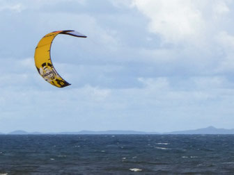 A kite and Moreton Island
