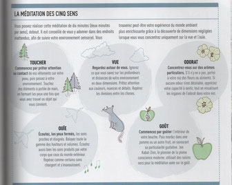 Extrait du livre "Méditer" de Ken A. VERNI