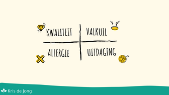 Kernkwadrant: Kwaliteit, valkuil, allergie, uitdaging
