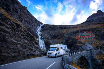 Hund_Trollstiegen_Geiranger_Norwegen_Reisebericht_Die Roadies 