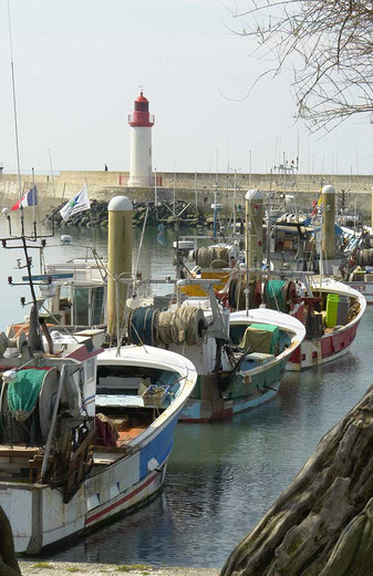 Port de la Cotinière, île d'Oléron.