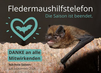 Foto: Dr. Andreas Zahn
