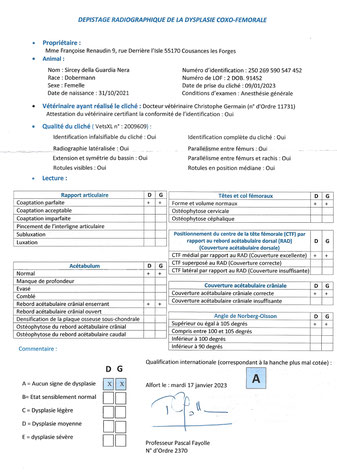 SIRCEY DELLA GUARDIA NERA - résultat hanche