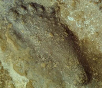 Spuren. Beziehungen hinterlassen bleibende Eindrücke. Steinzeitlicher Fußabdruck, Algerische Zentralsahara   © Michael Fitzek