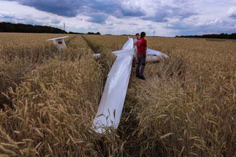 Eine ASW 19 im Kornfeld nach der Außenlandung. Das Flugzeug drehte sich nach dem Aufsetzen um 90 Grad.