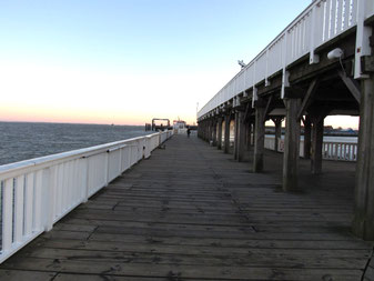Alte Liebe in Cuxhaven, Bio-Urlaub