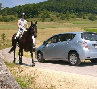 Pferd & Auto