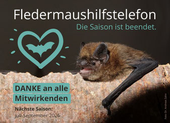 Foto: Dr. Andreas Zahn