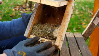 Ein offener Nistkasten mit einem alten Vogelnest im Inneren