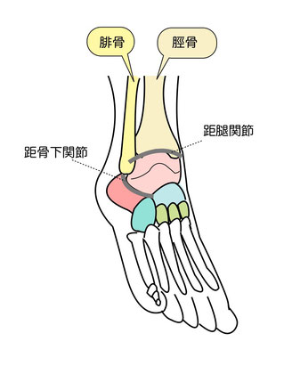 足関節