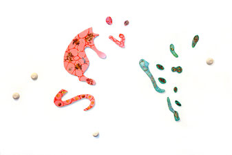 Ratte und Schmetterling, 2009. Cut-out. (Sperrholz, Acrylfarbe, Lack, Papier, Gips. Ca. 120 x 150 cm. Installationsansicht, BBK-Galerie Mannheim)