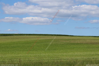 Flaches Land in Schleswig-Holstein
