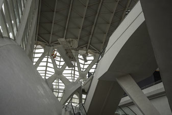 Bild: Museu de les Ciences im Ciutat de les Arts i les Ciències in Valencia  