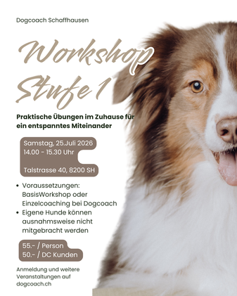 Hundeschule, Coaching, Hundeworkshop