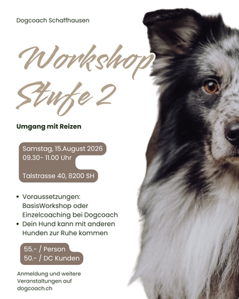 Hundeschule, Coaching, Hundeworkshop