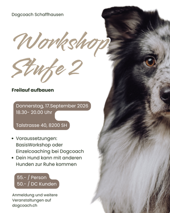 Hundeschule, Coaching, Hundeworkshop