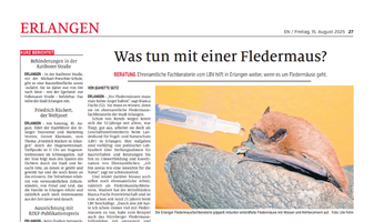 Foto: Ute Fehn