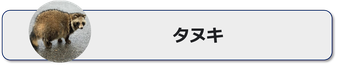 たぬきの特徴と習性,タヌキ,狸